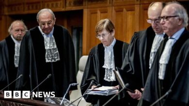 What does the ICJ ruling mean in South Africa's genocide against Israel?