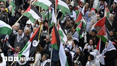 Protesters wave Palestinian flags during the 'Stop Israel' demonstration in Malmo