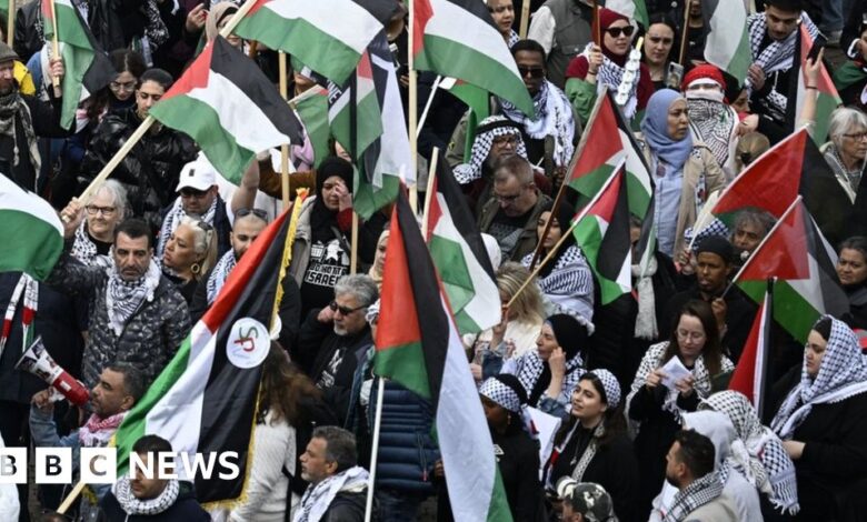 Protesters wave Palestinian flags during the 'Stop Israel' demonstration in Malmo