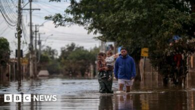 The water-borne disease killed four people