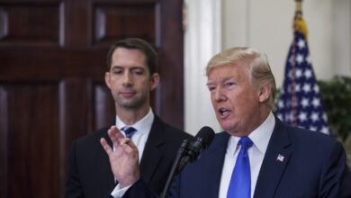 Donald Trump's List of Potential Vice Presidents Now Includes Tom Cotton, Called for Vigilant Justice for Protesters and Skinning People: Report