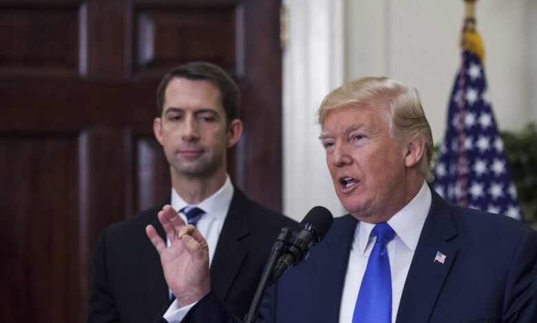 Donald Trump's List of Potential Vice Presidents Now Includes Tom Cotton, Called for Vigilant Justice for Protesters and Skinning People: Report