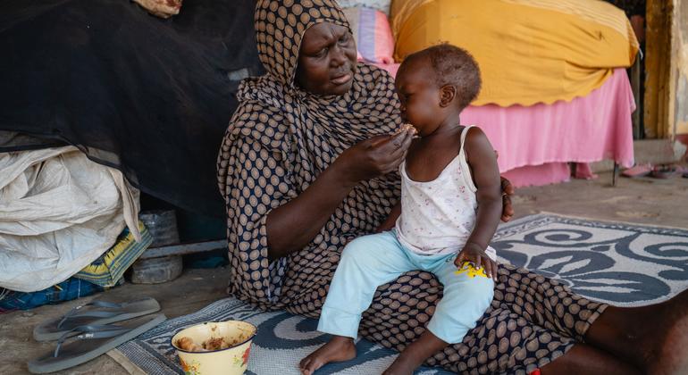 'Unimaginable trauma' haunts displaced people in Sudan as violence, famine threaten millions