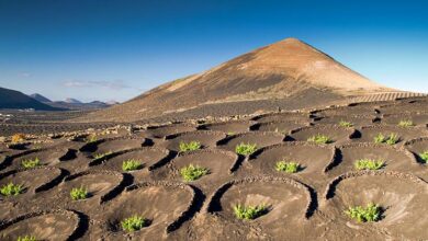 The UN head calls for stopping 'destroying' the Earth and helping the planet thrive