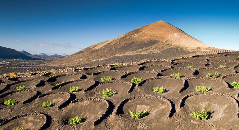 The UN head calls for stopping 'destroying' the Earth and helping the planet thrive