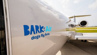 Bark (Air) or bite: Cats compete for the dog's flight