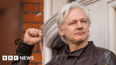 Julian Assange's decade of detention