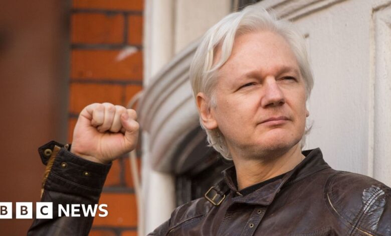 Julian Assange's decade of detention