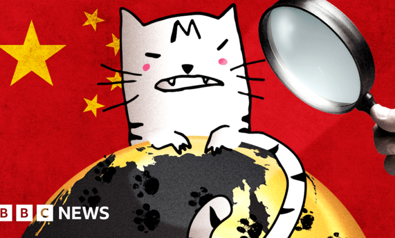 The hunt for the cartoon cat vexing China's censors