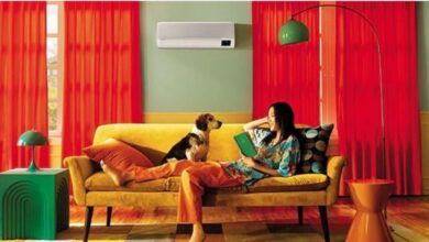 Best air conditioner models to buy in 2024 from top 5 air conditioner brands in India- Lloyd, Blue Star, Voltas etc.