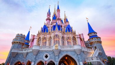 Disney World may soon add a fifth theme park