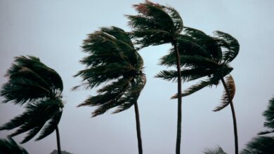 Hurricane season begins this month: TPG's hurricane survival guide for travelers