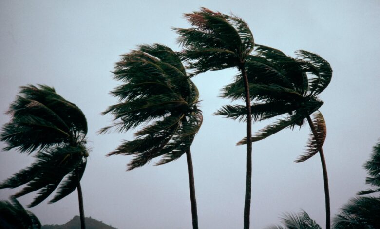 Hurricane season begins this month: TPG's hurricane survival guide for travelers
