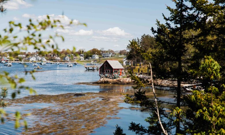 Guide to the perfect coastal Maine road trip