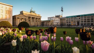 Deal alert: Fly to Germany from the US for $259 round-trip