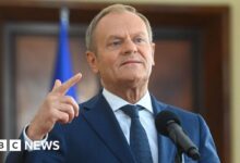 Polish Prime Minister issues stern warning ahead of EU elections