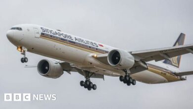 Singapore Airlines chaos victims are given thousands of dollars by the company