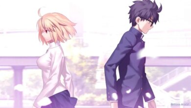 tsukihime streaming guidelines