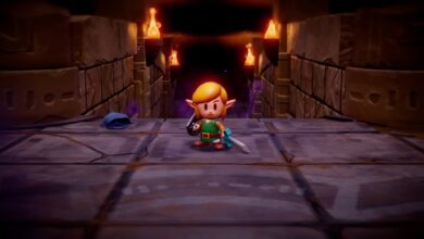 Link Will Be Playable In Zelda: Echoes Of Wisdom, According To New ESRB Rating