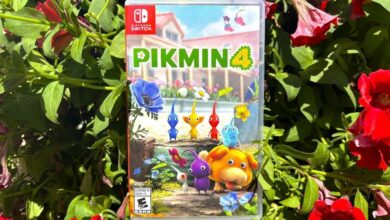 New Roots - How Pikmin 4 Helped Me Move Abroad