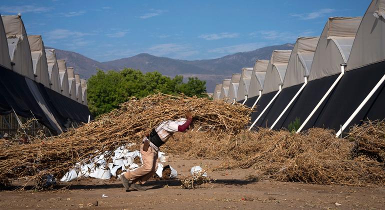 More than 70 percent of the global workforce works in extreme heat conditions |