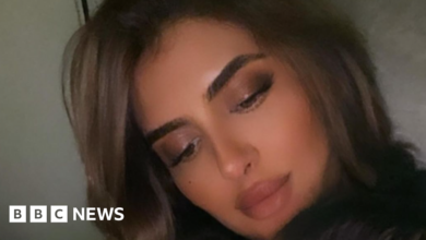 Dubai princess's Instagram account announces divorce