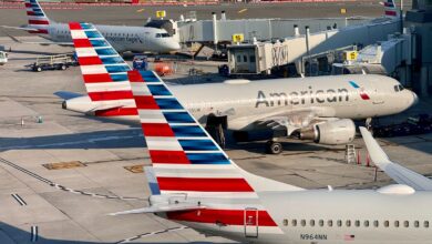 American Airlines Adds New Domestic Destination in Southern California