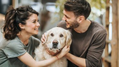 Should I add a dog to my prenuptial agreement?