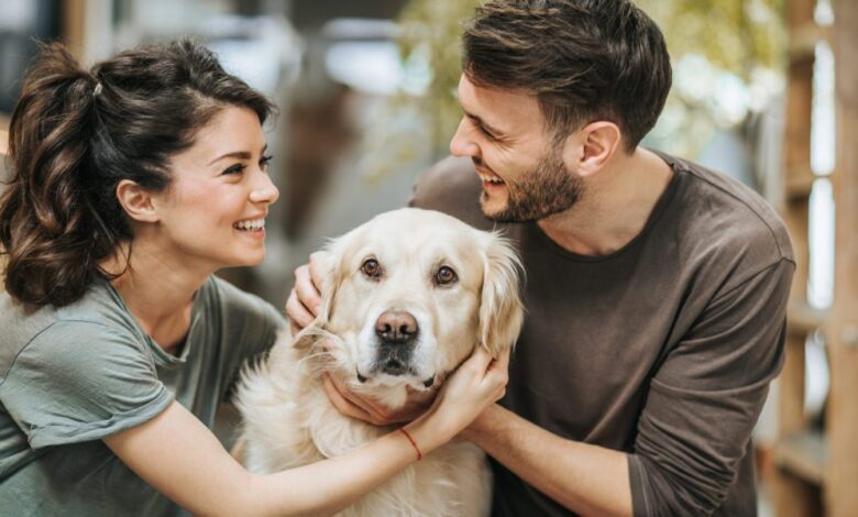 Should I add a dog to my prenuptial agreement?