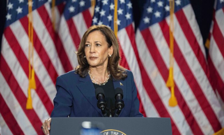 Kamala Harris Vice President November Election Wisconsin Rally Takeaways Recap Summary