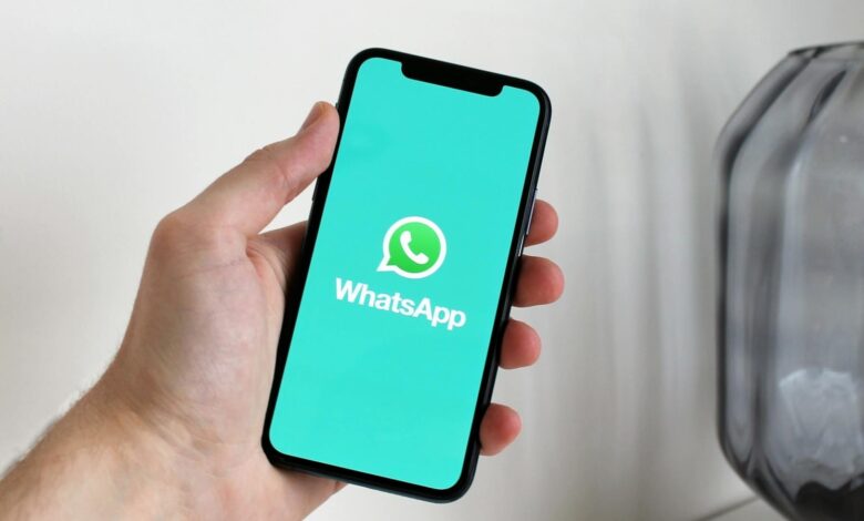 WhatsApp rolls out popular new feature for calls and chats, here's how you can use it