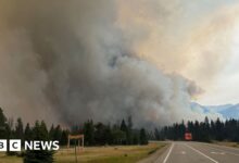 Rain and cool weather ease Jasper fires