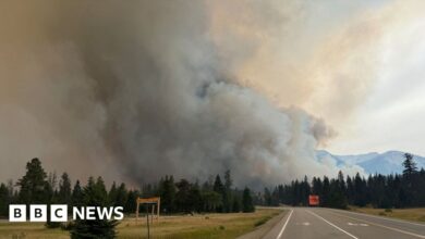 Rain and cool weather ease Jasper fires