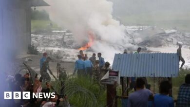 Sole pilot survives plane crash in Nepal