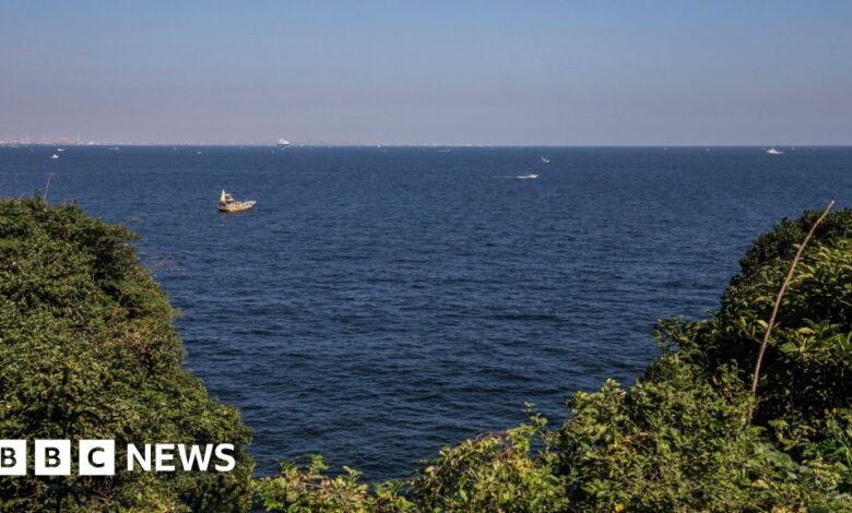 Swimmer rescued 80km off Japan coast after 36 hours