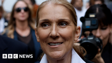 Macron says Celine Dion singing at Olympics would be great