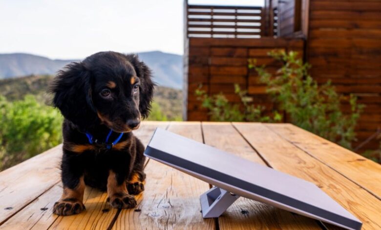 You Can Now Own SpaceX's Starlink Mini Internet Antenna That Fits in Your Backpack