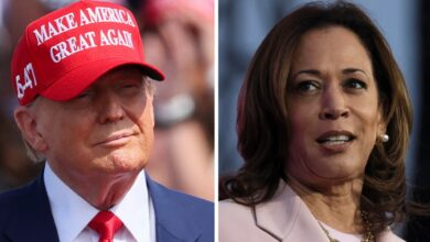 Harris leads Trump in three major election battlegrounds, poll shows