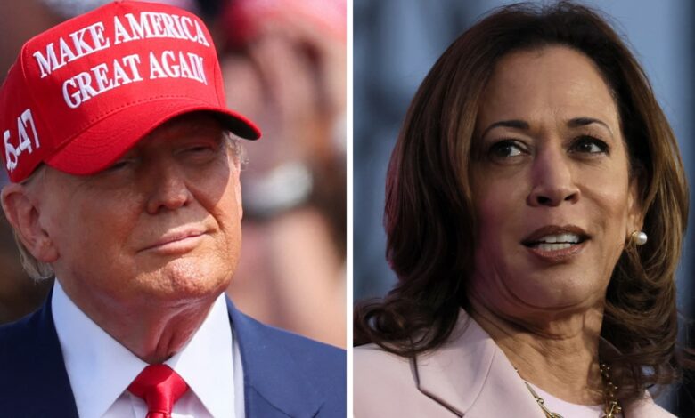 Harris leads Trump in three major election battlegrounds, poll shows