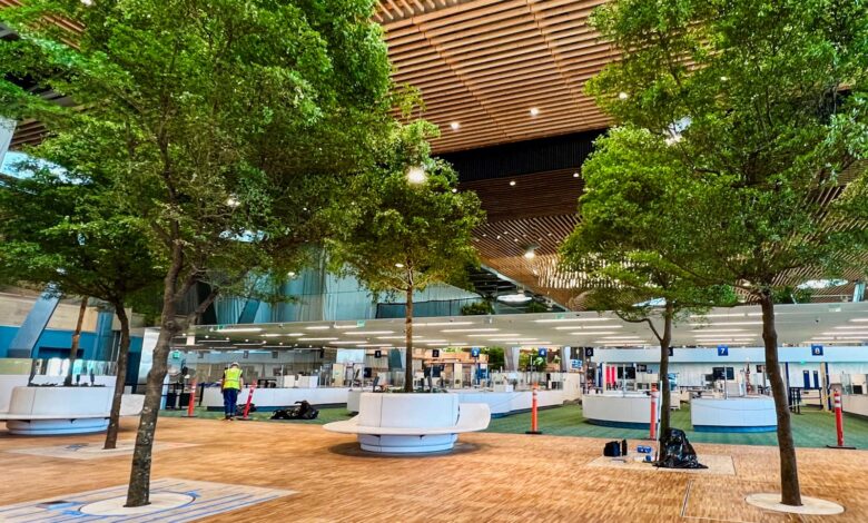 A look inside the tree-lined new main terminal at Portland International Airport