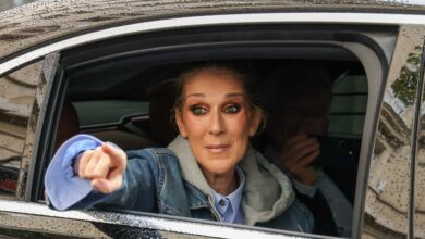 Celine Dion points out the mistakes of Trump's campaign