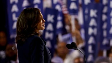 Kamala Harris makes her case as unifying figurehead in 2024 DNC speech