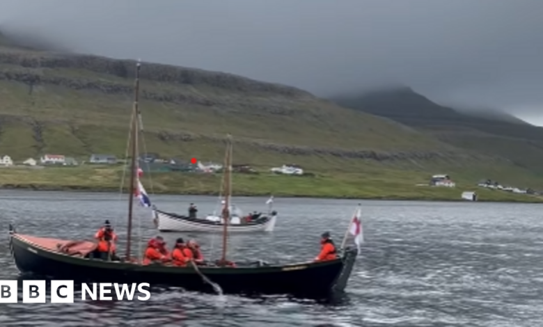 American archaeologist drowns after Viking ship model sinks