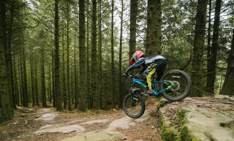 Mountain bikers are regenerating wasteland by paying the government to do it