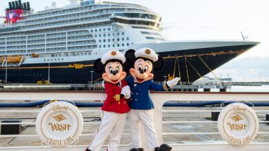 Everything You Need to Know About Disney Cruise's Fish Extenders