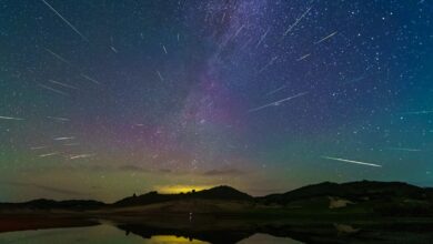 See the Perseids and Southern Delta Aquariids in a Stunning Double Meteor Shower