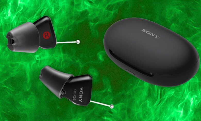 Best Invisible Hearing Aids to Keep Your Hearing Loss Hidden (2024)