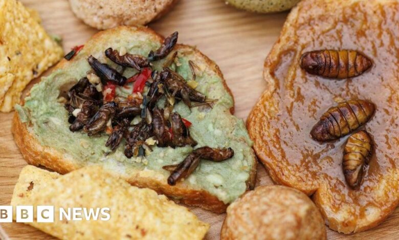 Proponents of eating insects face a culinary challenge: taste.