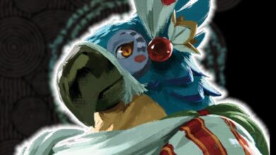 Tears Of The Kingdom's main work has some hints about Kass's whereabouts.