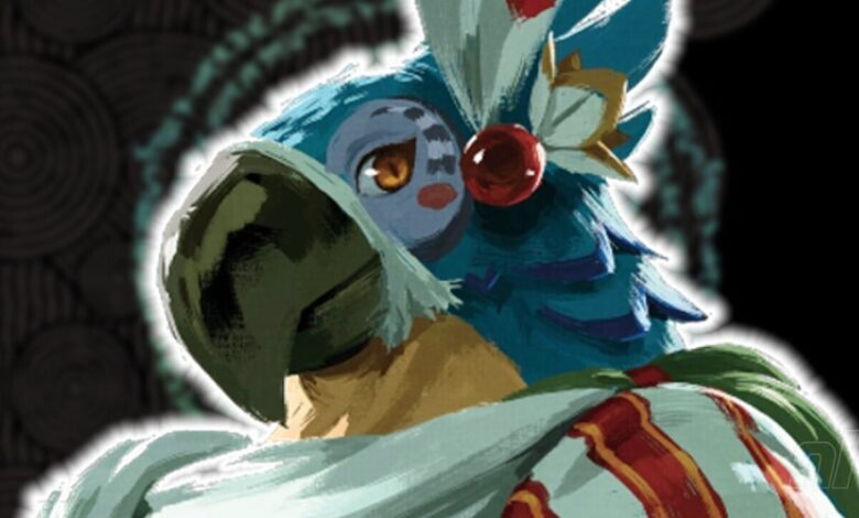 Tears Of The Kingdom's main work has some hints about Kass's whereabouts.